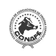 Conafe logo